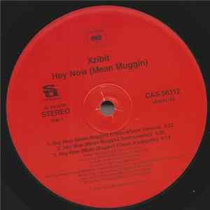Xzibit - Hey Now (Mean Muggin) FLAC album
