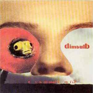 Dimbulb - Trip Hammers FLAC album