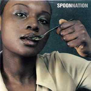 Spoon Nation - I Don't Know FLAC album