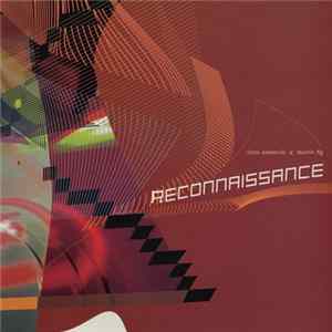 Oren Ambarchi & Martin Ng - Reconnaissance FLAC album