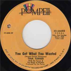 Tina Turner With Ike Turner & The Kings Of Rhythm - You Got What You Wanted / Too Hot To Hold FLAC album