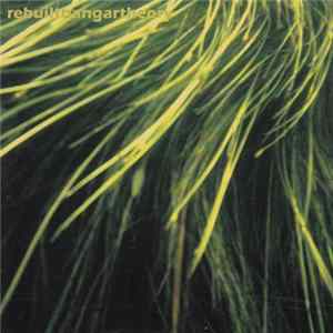 rebuilthangartheory - Rival Of The Cold FLAC album