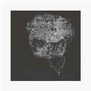 David Toop - Entities Inertias Faint Beings FLAC album