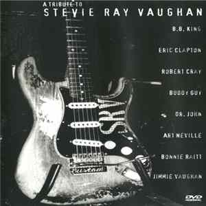 Various - A Tribute To Stevie Ray Vaughan FLAC album