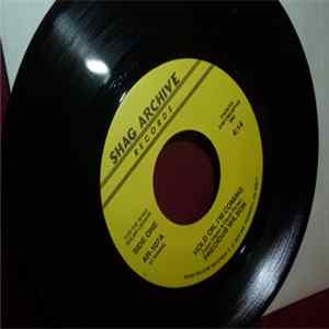 Precious Wilson / Clyde McPhatter / Clyde McPhatter - Hold On, I'm Coming / Who's Worried Now FLAC album