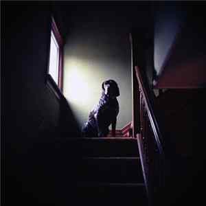 Lume - Dog Years FLAC album
