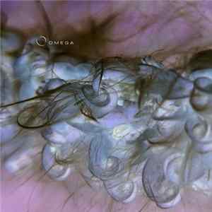Klaus Wiese - Cocoon FLAC album