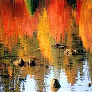Sharks' Teeth - Reflections In The Lagoon FLAC album