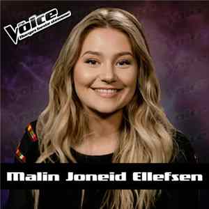 Malin Joneid Ellefsen - Don't Kill My Vibe FLAC album