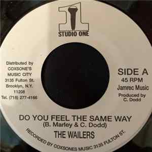 The Wailers - Do You Feel The Same Way / Destiny FLAC album
