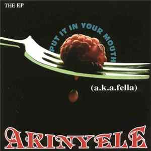 Akinyele - Put It In Your Mouth FLAC album