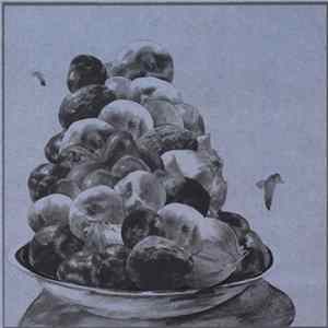 Hop Along - Painted Shut FLAC album