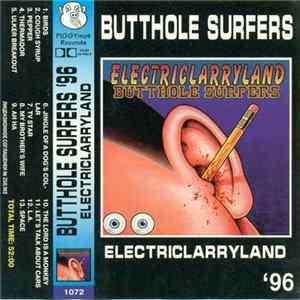 Butthole Surfers - Electriclarryland FLAC album