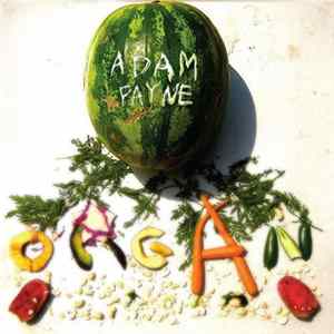 Adam Payne - Organ FLAC album
