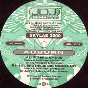 Skylab 2000 - Auburn FLAC album