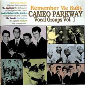 Various - Remember Me Baby - Cameo Parkway Vocal Groups Vol 1. FLAC album