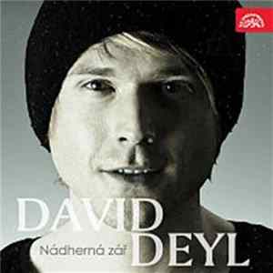David Deyl - Nádherná Zář FLAC album