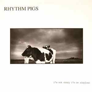 Rhythm Pigs - I'm Not Crazy I'm An Airplane FLAC album
