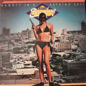 David Bromberg Band - Bandit In A Bathing Suit FLAC album