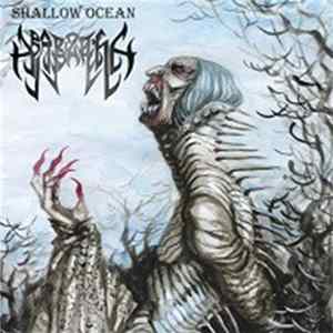 Barzakh - Shallow Ocean FLAC album