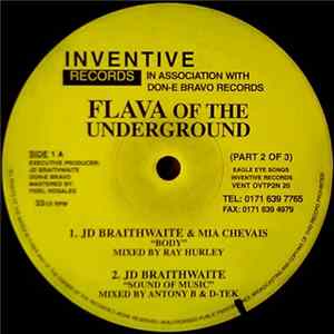 Various - Flava Of The Underground (Part 2 Of 3) FLAC album