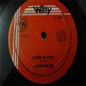 Junior Wilson - Having My Baby / No Easy FLAC album