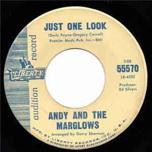 Andy & The Marglows - Just One Look / Symphony FLAC album