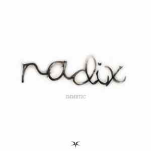 Immetic - Radix FLAC album