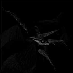 Ikunaa - Vantablack Rose FLAC album