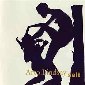 Arto Lindsay - Salt FLAC album
