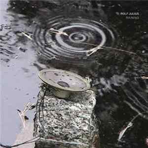 Rolf Julius - Raining - Small Music No. 3 FLAC album