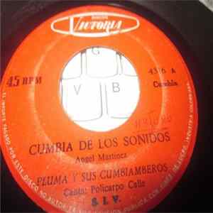 Pluma Y Sus Cumbiamberos - Cumbia de Los Sonidos FLAC album