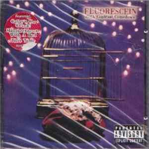 Fluorescein - High Contrast Comedown FLAC album