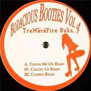 TreMoreFire Dubz - Bodacious Booties Volume 4 FLAC album