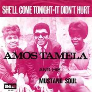Amos Tamela And His Mustang Soul - She'll Come Tonight / It Didn't Hurt FLAC album