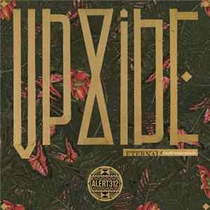 Alert312 - The Upside Eternal Instrumentals FLAC album