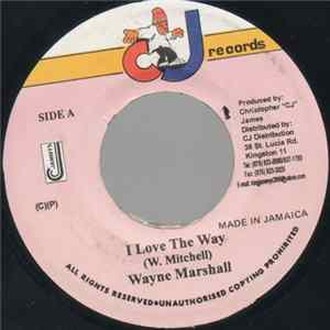 Wayne Marshall - I Love The Way FLAC album