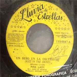 Pink Lady - Un Beso En La Oscuridad (Kiss In The Dark) / Amame Esta Noche (Love Me Tonight) FLAC album