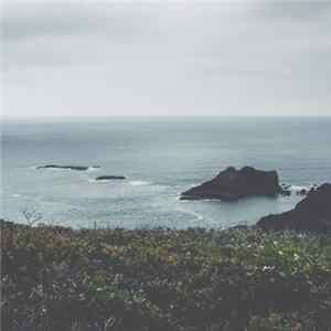 Luis Miehlich - Silences FLAC album