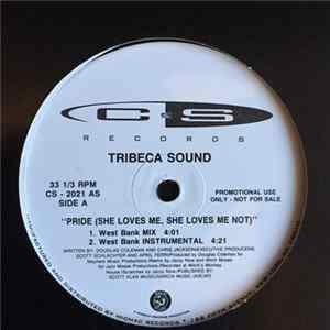 Tribeca Sound - Pride (She Loves Me, She Loves Me Not) FLAC album