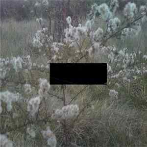 Prater Saith - Pet Names FLAC album