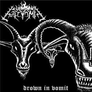 Hatevömit - Drown in Vomit FLAC album