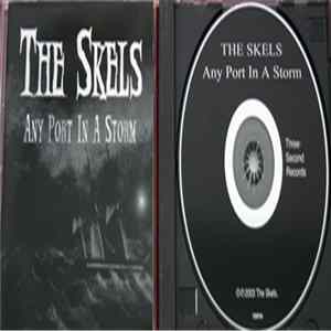 The Skels - Any Port In A Storm FLAC album