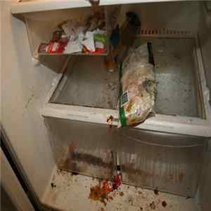 Scorpion Sound Source - Think Of The Children........As Medical Waste FLAC album