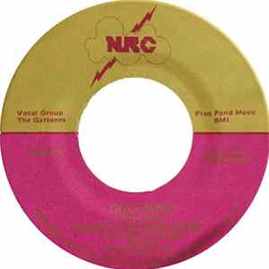 Danny Gatton Band - Ugly Man FLAC album