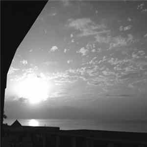 A.P - Vacu Sessions 29 FLAC album
