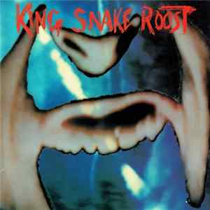 King Snake Roost - Things That Play Themselves FLAC album