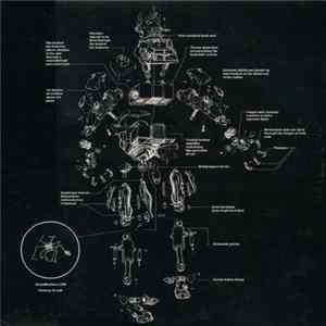 Dan H - Wax Wirebug EP FLAC album