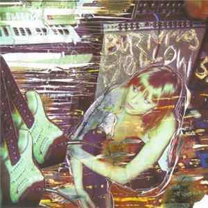 Burning Yellows - Urinal Cakes / Drought FLAC album