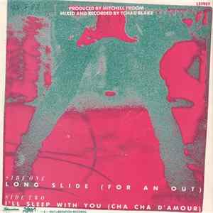 The Del Fuegos - Long Slide (For A Out) FLAC album